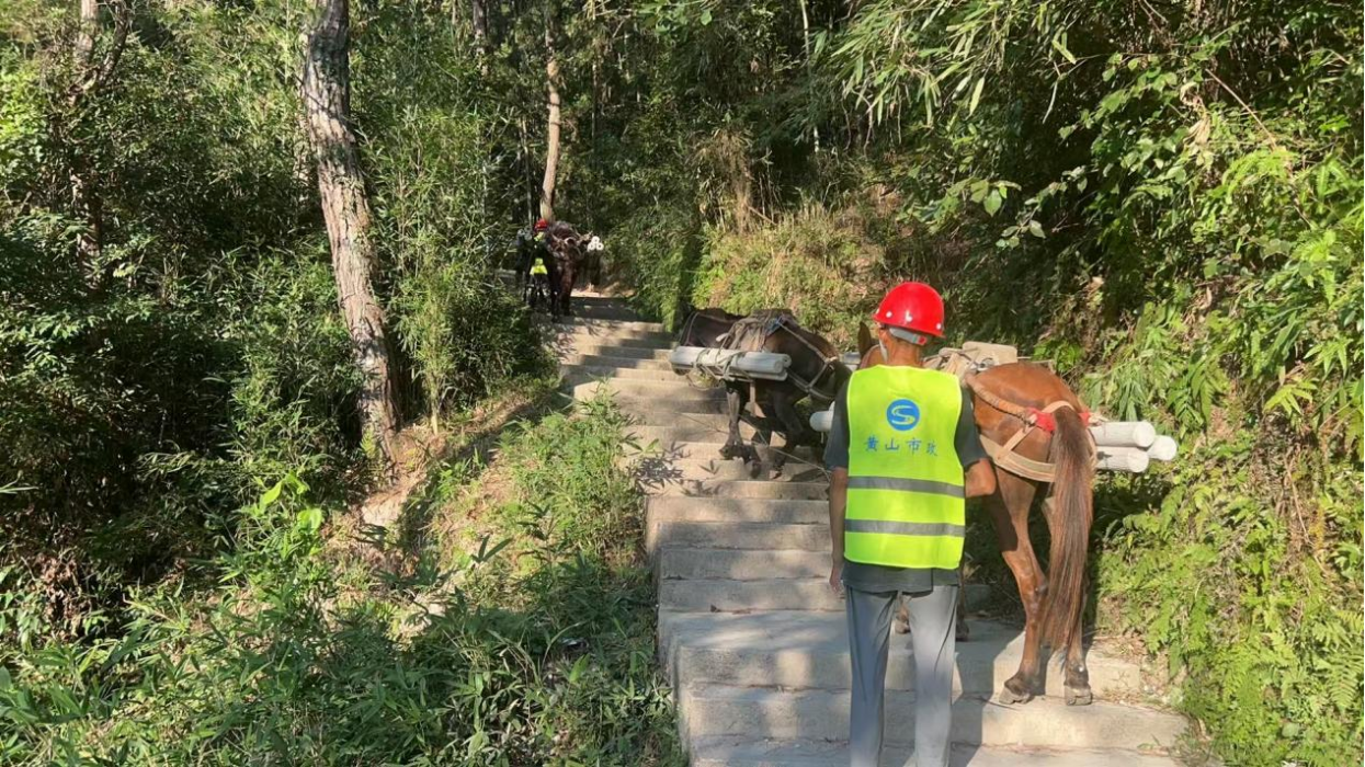 27343619.png image.png