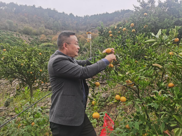 61278516.png 圖片3_副本.png