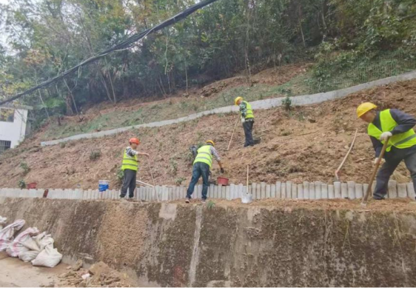 29515829.png 圖片2_副本.png