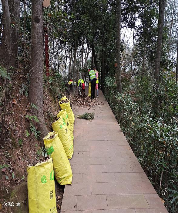 33529226.png 圖片2.png