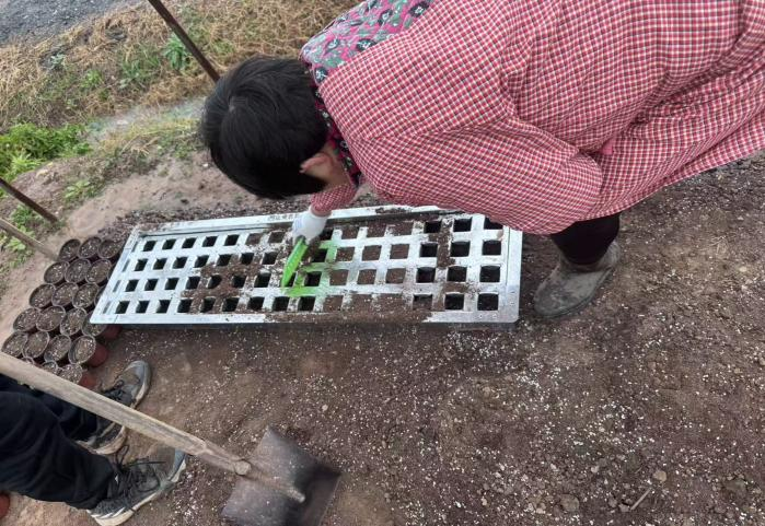 68408556.png 圖片1_副本.png